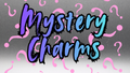 Charm Bracelets 6.00"